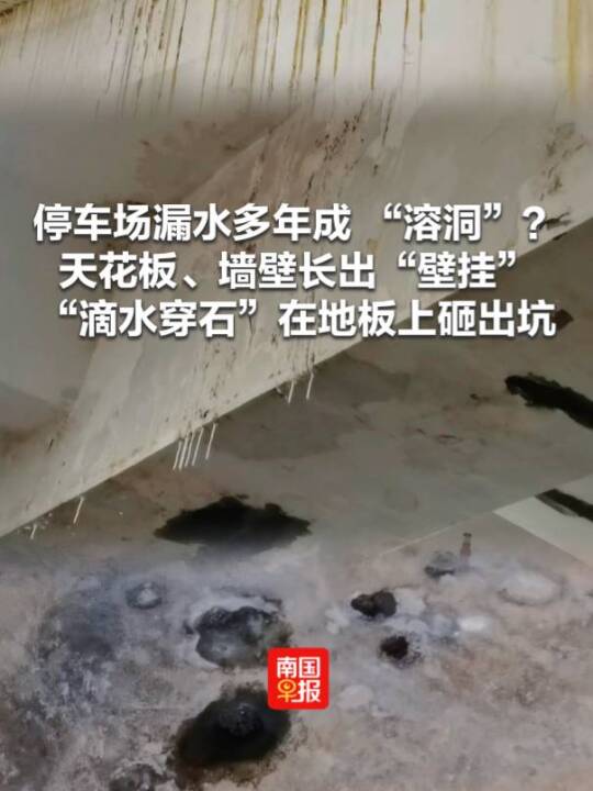 �χ�(gu��)���(b��o)ͣ܇��(ch��ng)©ˮ������ܶ��컨�剦���L(zh��ng)���ڒ��ˮ��ʯ�ڵذ����ҳ���ͣ܇��(ch��ng)©ˮ�ܶ����c(di��n)��I(y��)